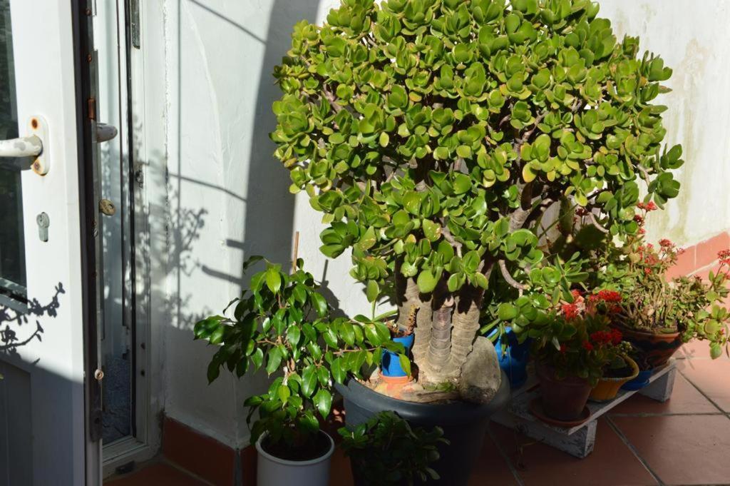 B&B Spiraglio Syracuse Ngoại thất bức ảnh